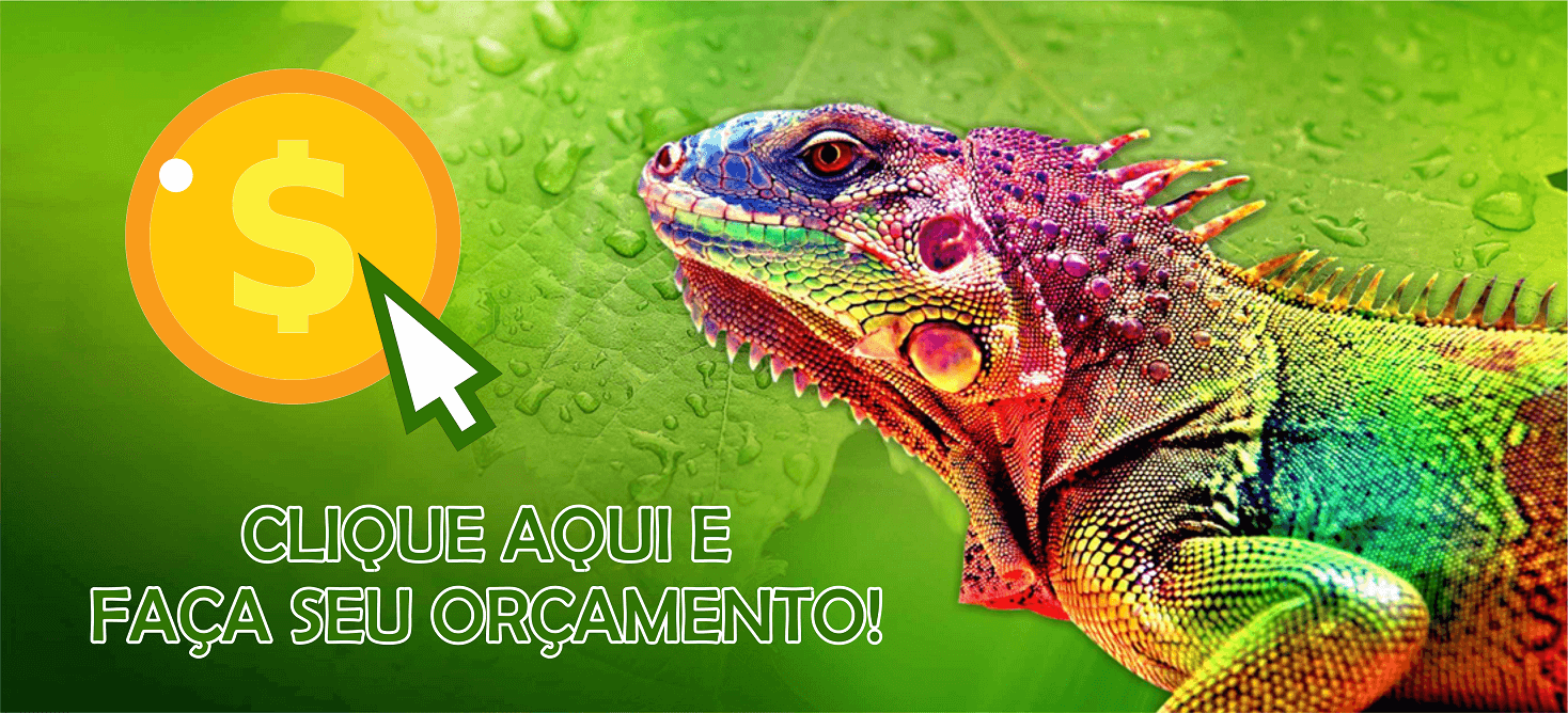 Orçamento